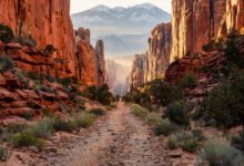 拱门 Park Avenue 值得下车走吗？1 英里峡谷大道与 La Sal 山框景实务-美国通