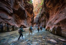 锡安(Zion)Narrows 溯溪全攻略:租防水装备、The Wall 水位查询与徒步距离-美国通