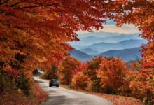 申南多阿 Skyline Drive 秋季赏枫全解:105 英里分段、四个入口选择与周末拥堵实务-美国通