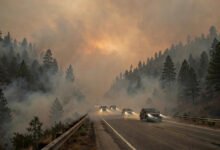 美国自驾遇到山火封路怎么办？InciWeb 火情查询、绕行规划与烟雾驾驶实务-美国通