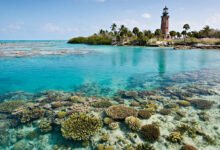 Biscayne住岛上是什么体验？Boca Chita露营+Stiltsville+沉船潜水全解-美国通