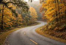 Natchez Trace Parkway值得开吗？444英里无红绿灯+10个必停点-美国通