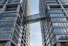 STEM OPT 期间公司被收购:E-Verify 变更与雇主报告义务-美国通