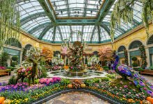 拉斯维加斯 Bellagio 温室花展:免费、四季主题、最佳参观时间-美国通