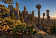亚利桑那
