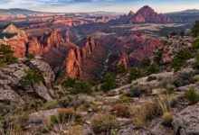 锡安国家公园 Lava Point 怎么去?7890 英尺高点俯瞰全园-美国通