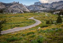 优胜美地 Tioga Road 几月开放?120 号公路穿越内华达山全攻略-美国通