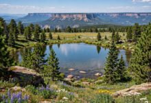 科罗拉多 Grand Mesa 值得去吗?世界最大桌山自驾指南-美国通