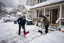 美国下雪天铲雪是谁的责任:租客还是房东、市政铲雪时限与罚单-美国通