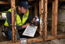 美国房子发现白蚁 termite 怎么办:检查费用、fumigation 熏蒸多少钱-美国通