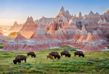 Badlands 恶地国家公园 Loop Road 自驾:30 英里环线怎么开、草原土拨鼠在哪看-美国通