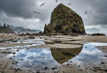 Cannon Beach 加农海滩：Haystack Rock 干草堆岩+海鹦季，俄勒冈海岸地标-美国通