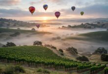 Temecula 特曼库拉：南加酒乡热气球+酒庄，洛杉矶出发一日游-美国通