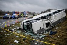 坐大巴出车祸:bus 事故责任与索赔全解-美国通