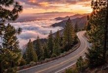 Angeles Crest Highway：洛杉矶后山景观路自驾-美国通