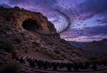 卡尔斯巴德 Carlsbad Caverns：傍晚蝙蝠出洞奇观，Bat Flight 几点去占位-美国通