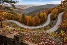 Pig Trail 猪小径:阿肯色 23 号公路,奥沙克山秋色自驾-美国通