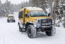 黄石冬天怎么玩:雪车 snowcoach 进园+老忠实雪季,冬季限定玩法-美国通
