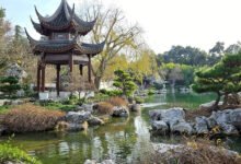 亨廷顿图书馆值得去吗?中式园林+《蓝衣男孩》,洛杉矶最美后花园-美国通