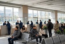 美国驾照回国能开车吗?换领中国驾照流程、科目一考试与临时许可-美国通
