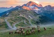 落基山国家公园 Trail Ridge Road 一年只开 4 个月?开放季、麋鹿发情季与三条必走徒步一次讲清-美国通