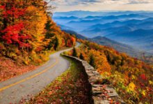 Shenandoah Skyline Drive:105 英里山脊景观公路,秋叶季、黑熊与限速 35 迈全攻略-美国通