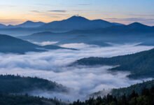 大烟山 Roaring Fork 环线 + Clingmans Dome 日出:免费国家公园的自驾与避人流攻略-美国通