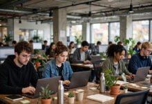 STEM OPT 去初创公司:雇主资质、E-Verify 与 I-983 要点-美国通