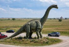 美国公路旅行必停的路边奇观：玉米宫、Wall Drug 与 10 个最值得下车的地方-美国通