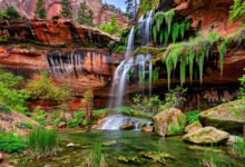 锡安不止 Narrows 和天使步道:翡翠池三池连走与北边 Kolob Canyons 小众区全解-美国通